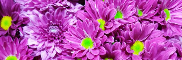 keng_pinit Profile Banner