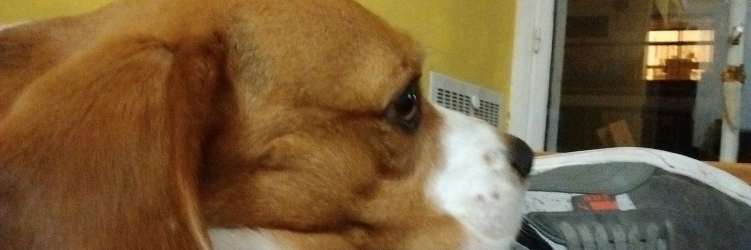mauri_rn's profile banner image