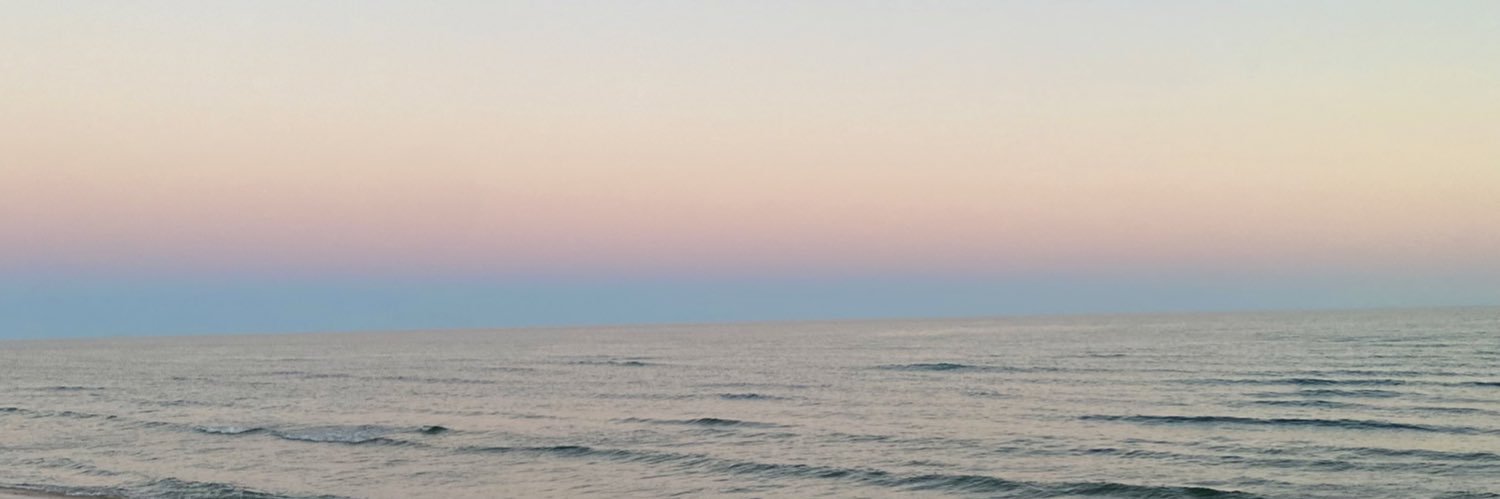 dsabtre's profile banner image