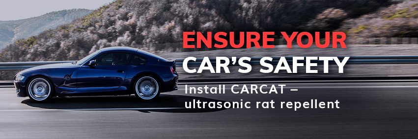 carcat_in's profile banner image