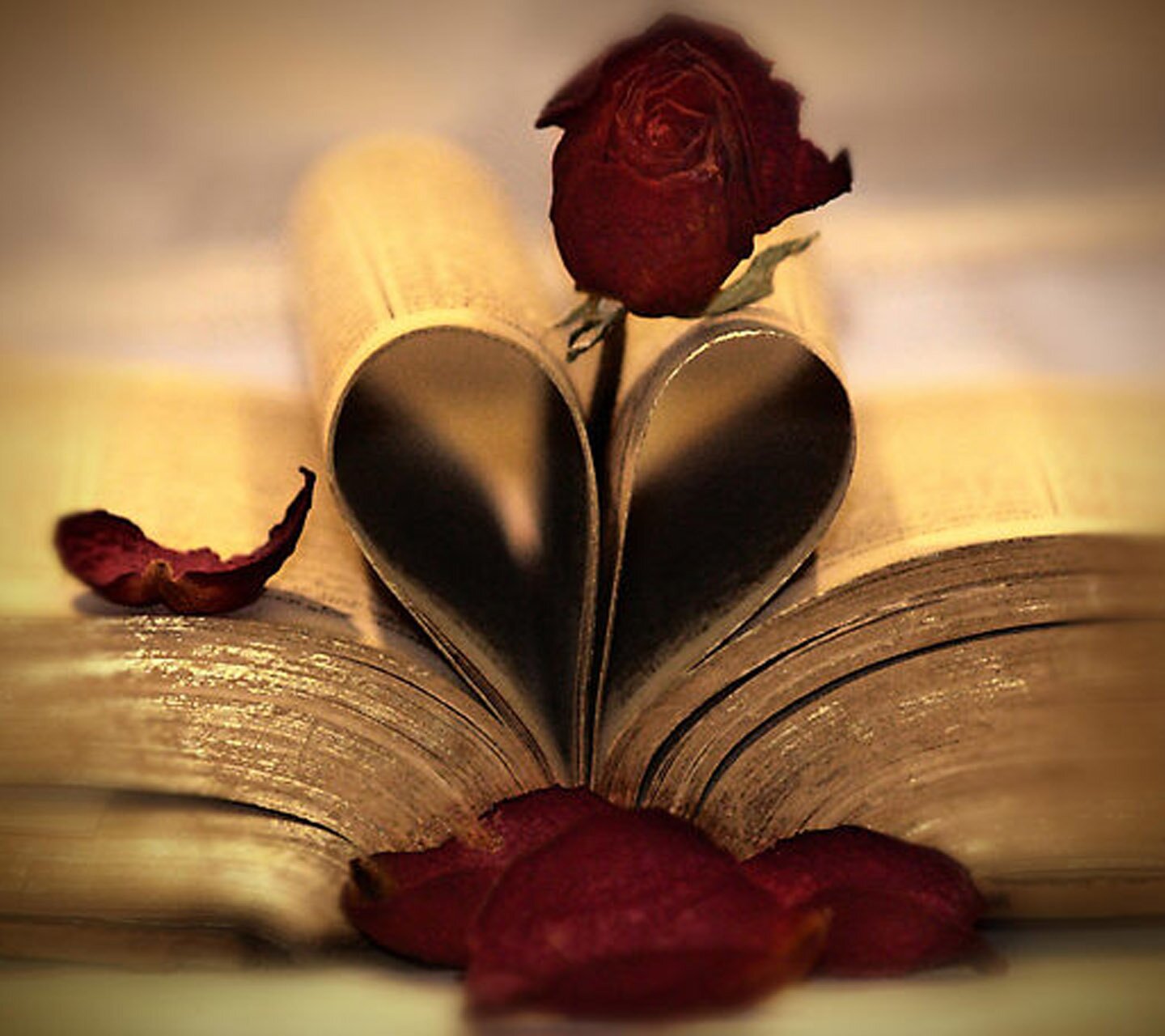 YaserAlyosef's profile banner image