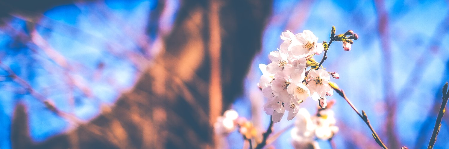 AA_yai's profile banner image