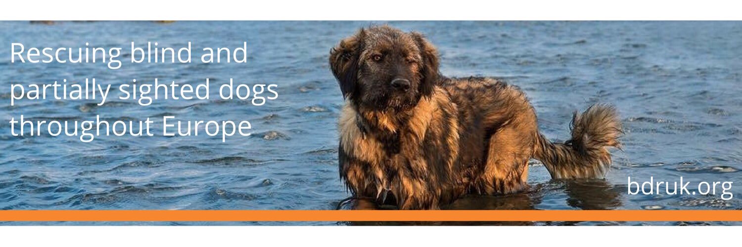 Blind Dog Rescue UK banner