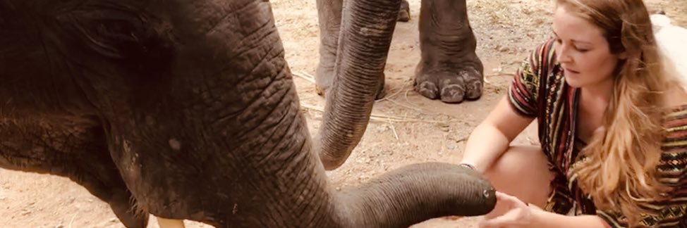 Mary Lane Porter banner