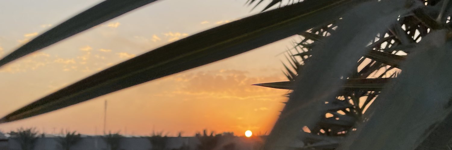 arch_a_al's profile banner image
