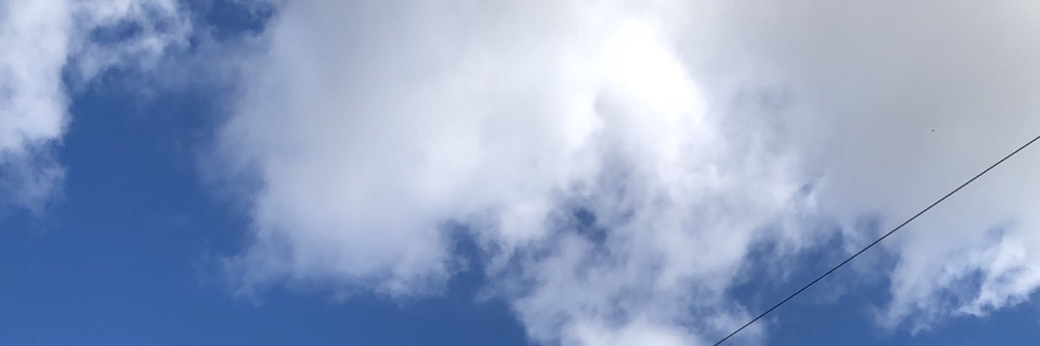 ___Noonlala's profile banner image