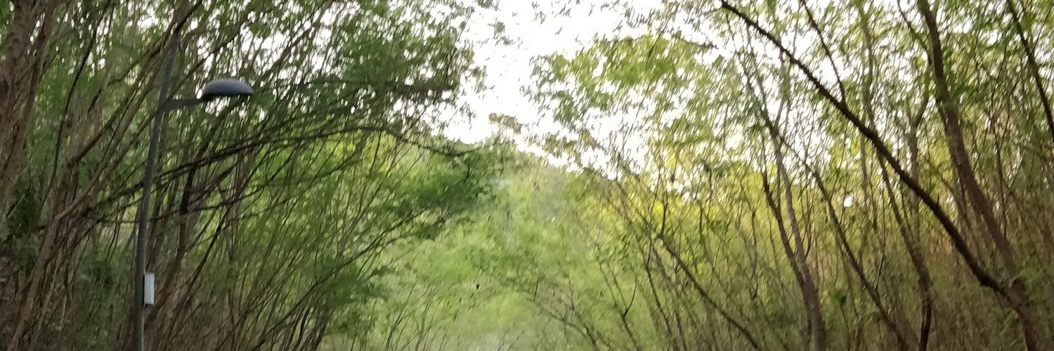 90circleX's profile banner image