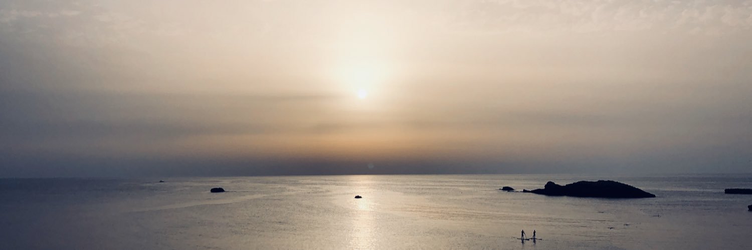eucaaalyptus's profile banner image