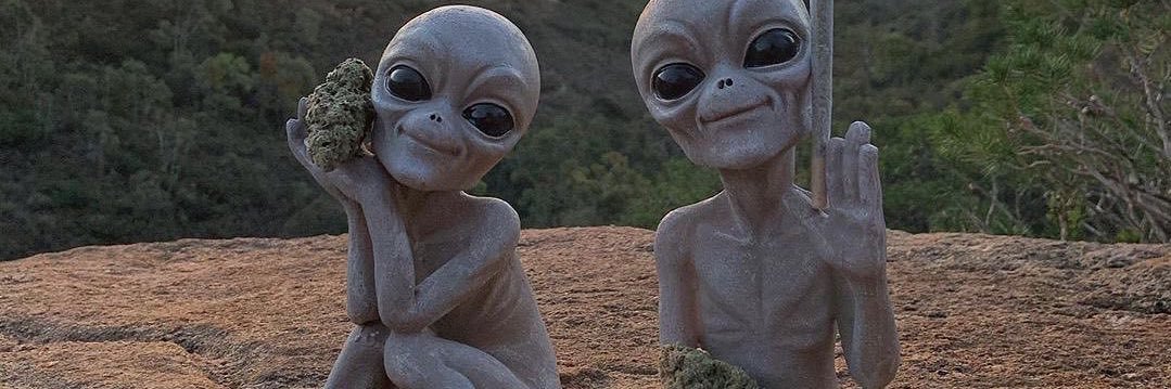 reefer517's profile banner image