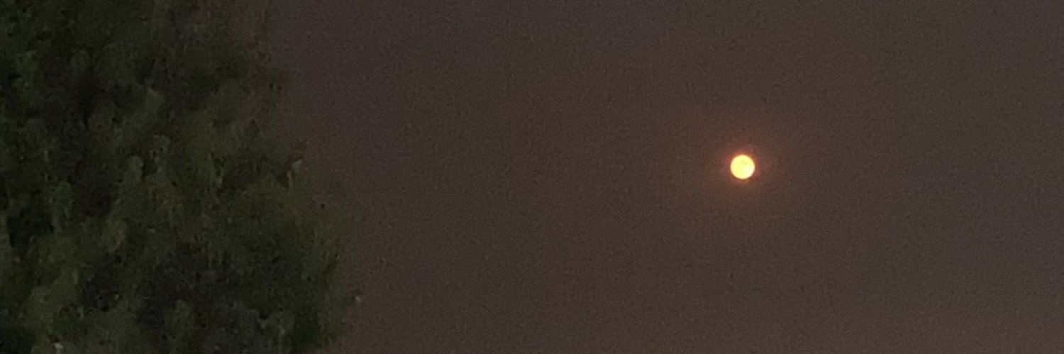 emmanuelxs's profile banner image