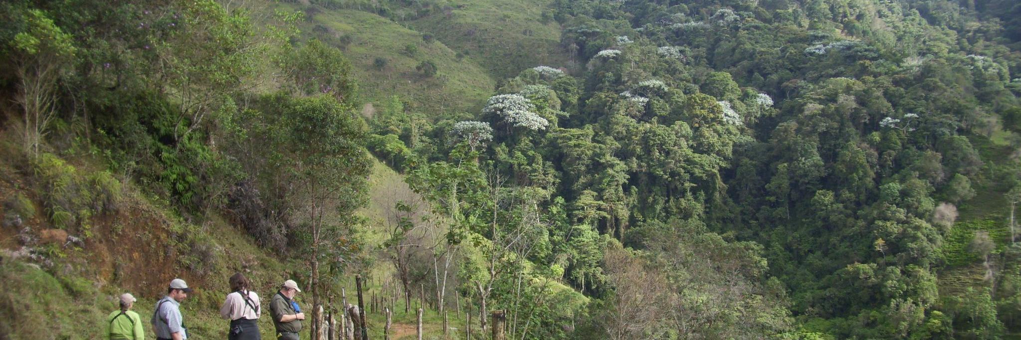 BirdColombia's profile banner image