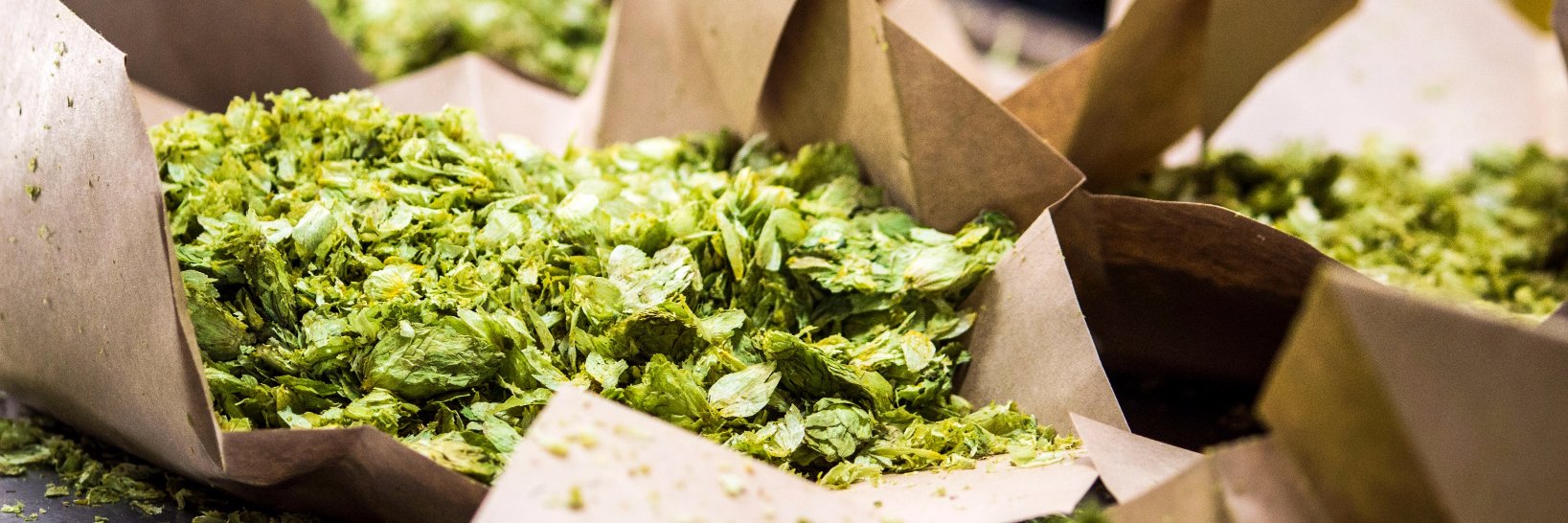 The Hop Concept banner