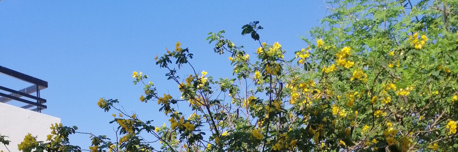 AnjuSudhin's profile banner image
