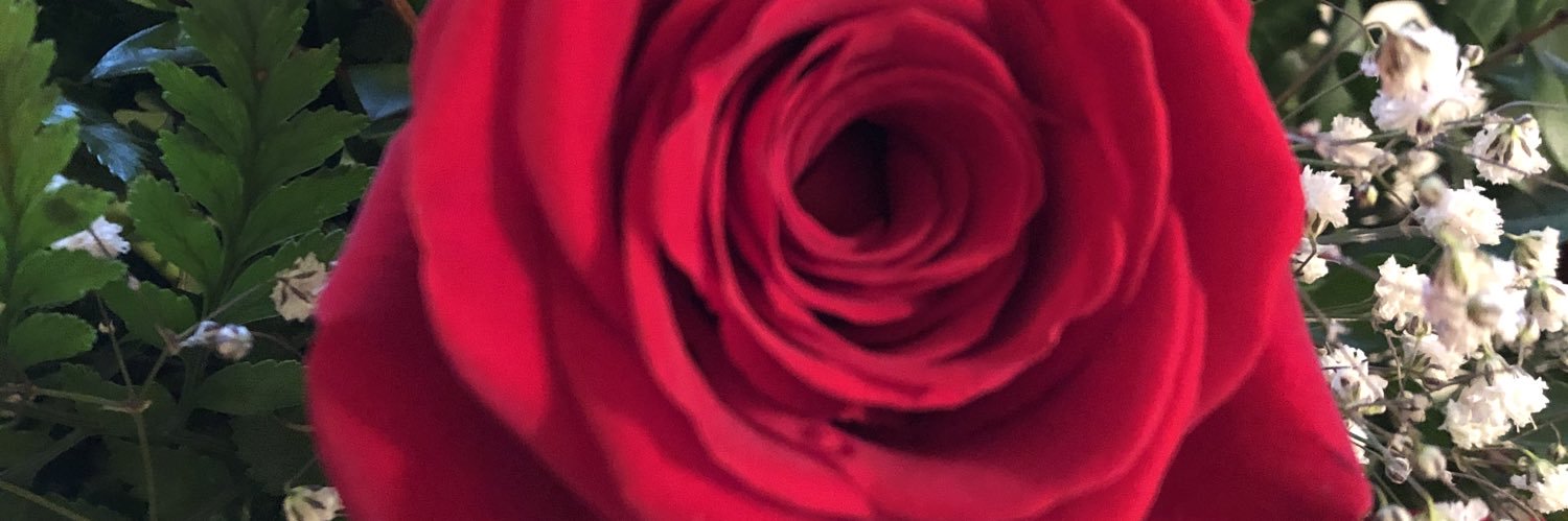 IamKissyFace's profile banner image