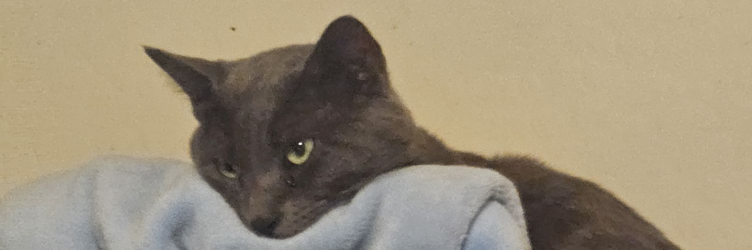 grapeapeape's profile banner image