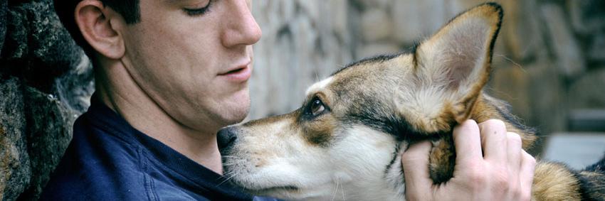 paws_sf's profile banner image