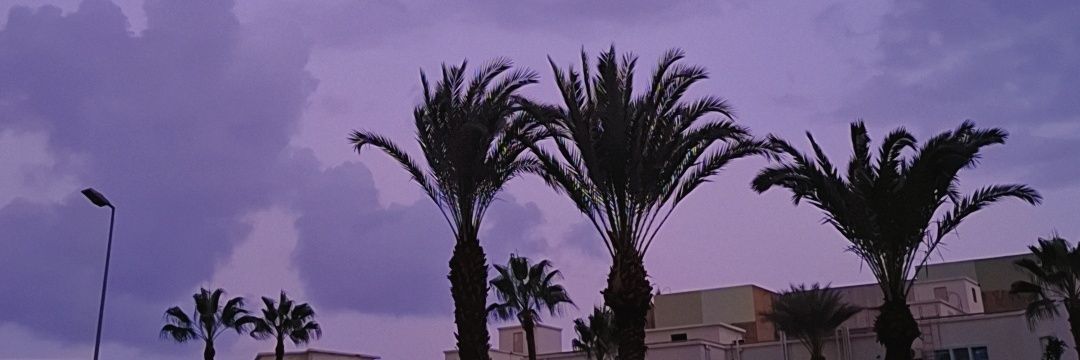 alzoyali's profile banner image
