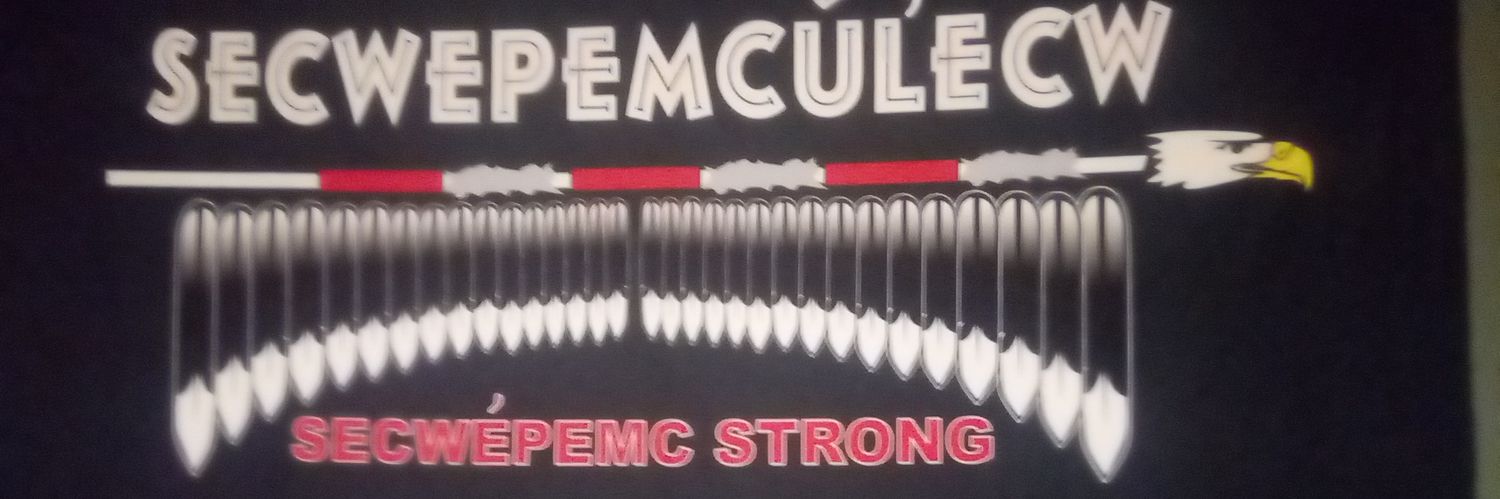 Old merciless War Pony's banner