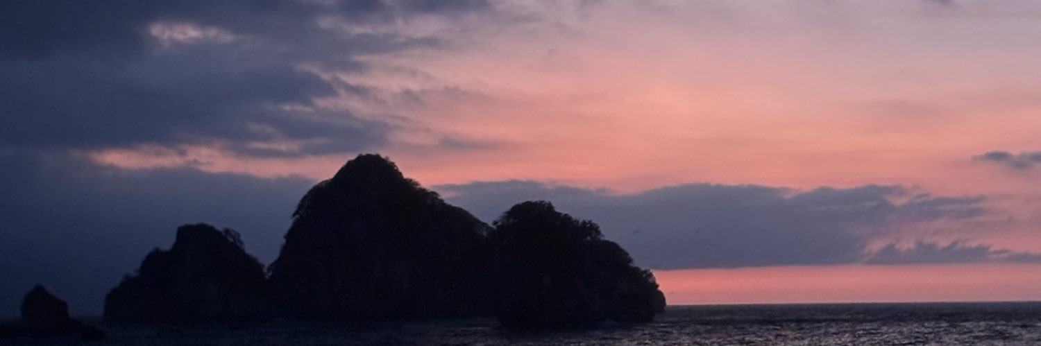 QuenciShirk11's profile banner image