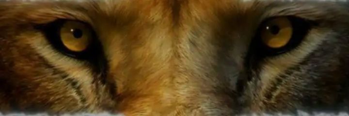 smithkasma's profile banner image