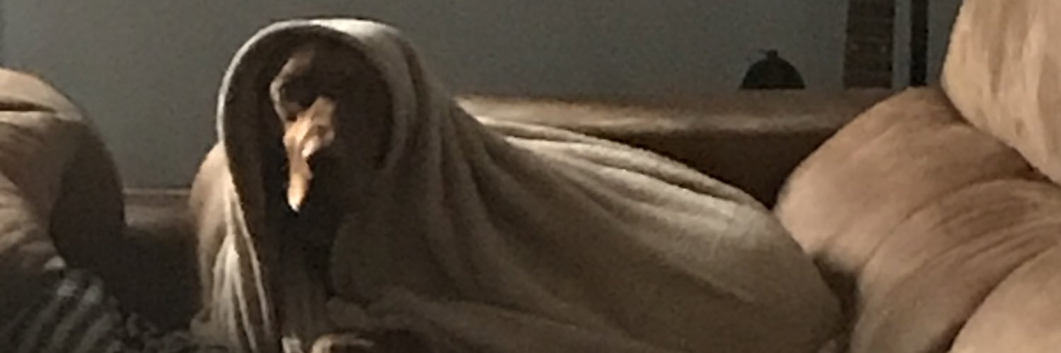 julita y ya ۞ banner