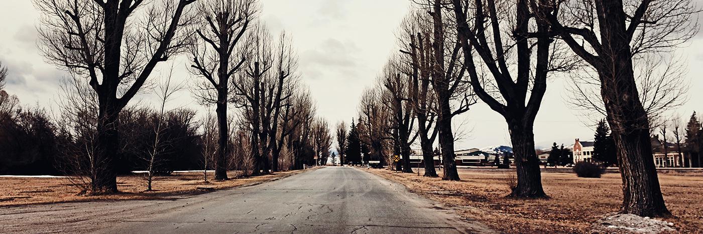 bigskyreporting's profile banner image
