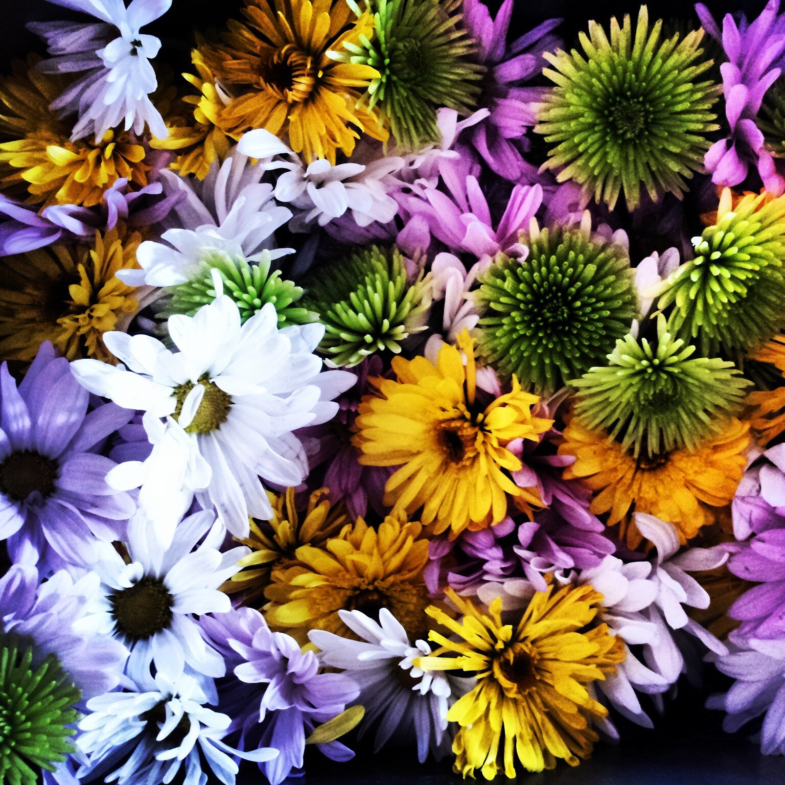 Juune_Bug's profile banner image
