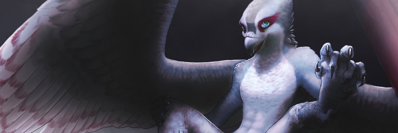 TheSwiftFalcon's profile banner image
