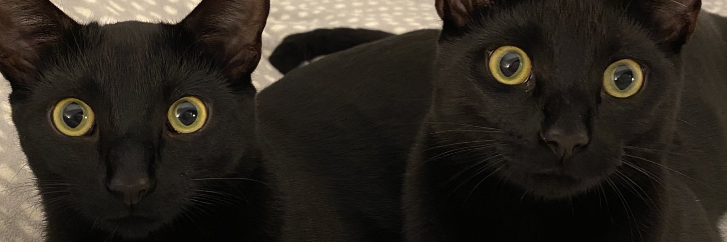 JTollervey's profile banner image