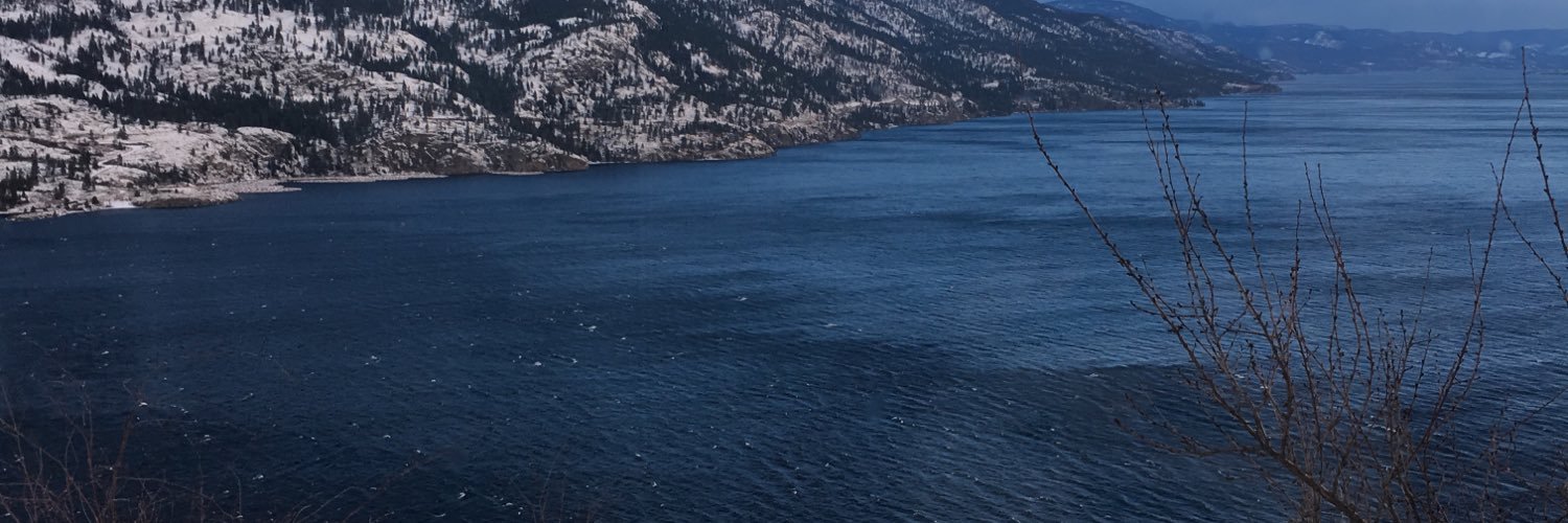 rabidandwild's profile banner image