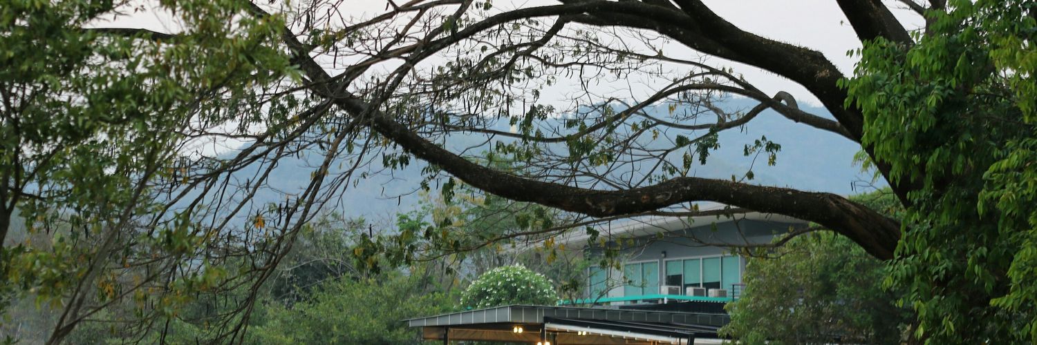 PiraponPoti's profile banner image