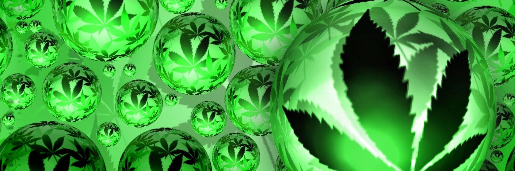 LegalizeLa318's profile banner image