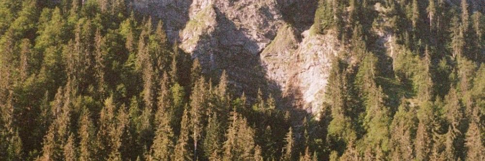 allisoncamachoo's profile banner image