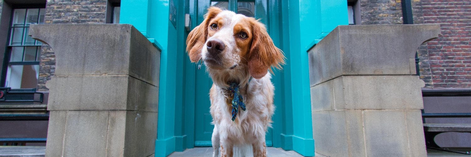 Wild at Heart Foundation banner