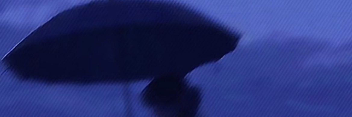 Shenll0303's profile banner image