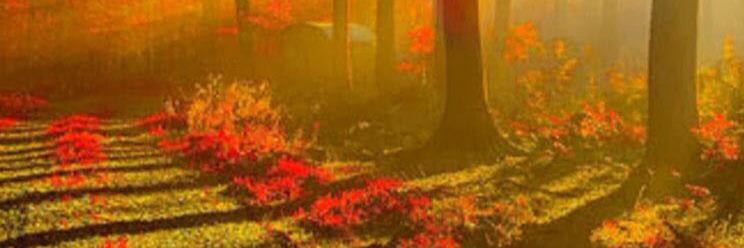 Toby0072's profile banner image