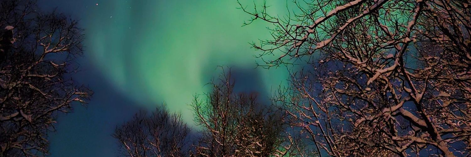 Nicotpf's profile banner image