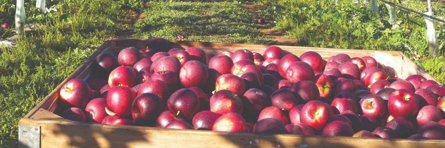 DPIRD - Horticulture WA banner