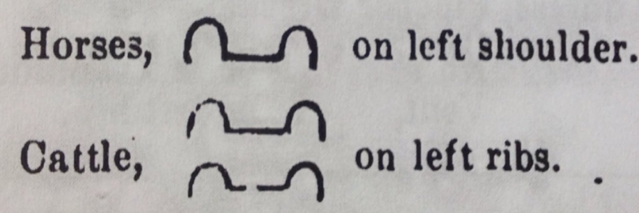 Bertrand Bickersteth banner