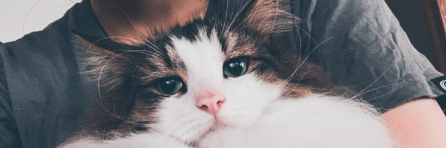 S4shik's profile banner image