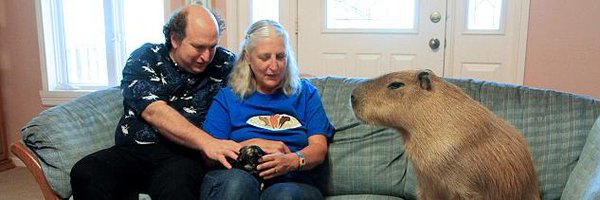 WRNPlayout Profile Banner