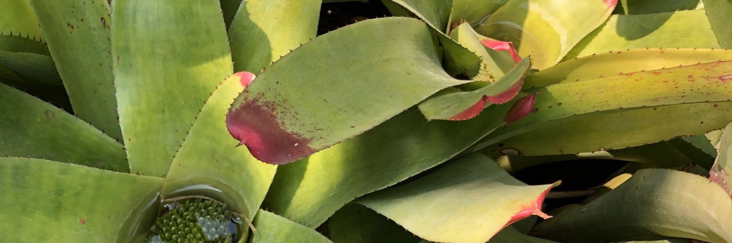 Andrew Vernon banner