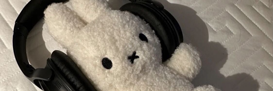 amanda ᡣ𐭩ྀིྀ₊ ⊹ banner