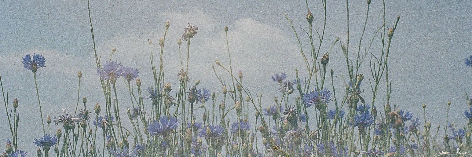 brown_shoe's profile banner image