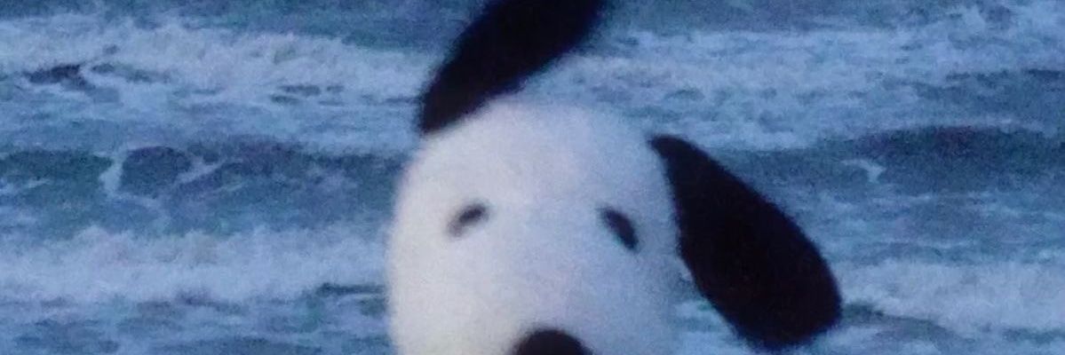 moose_mona's profile banner image