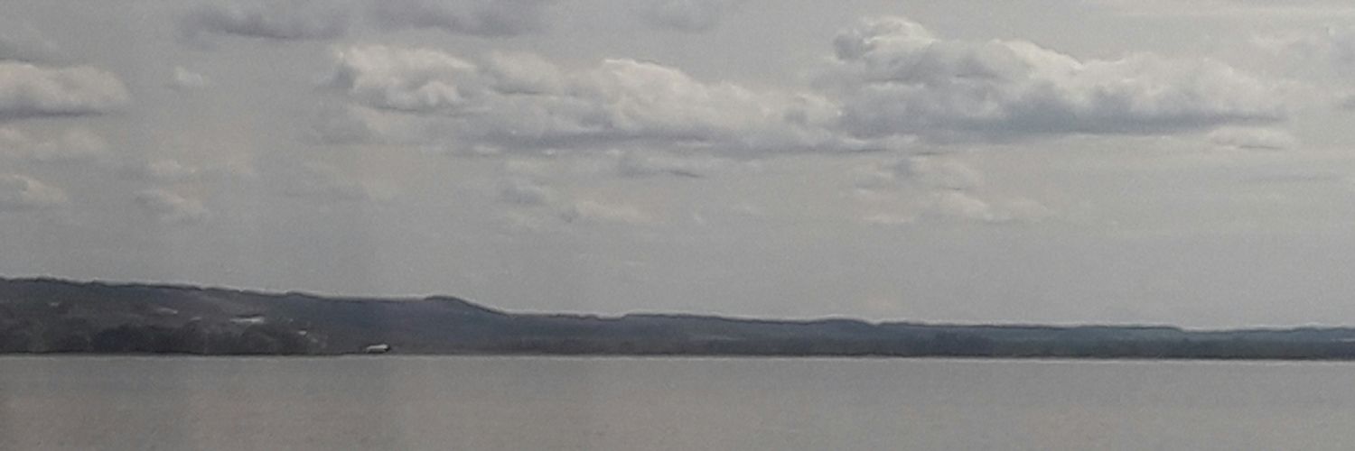 mariannareznik2's profile banner image