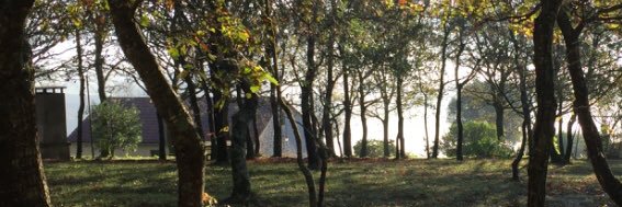 Fernando O Raviña banner