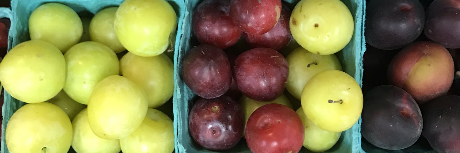 highlandcsa's profile banner image