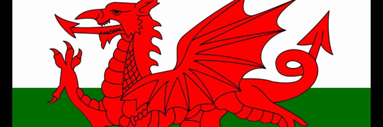 brigiey3's profile banner image