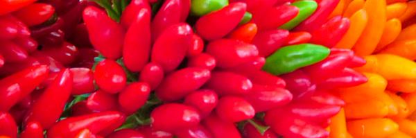 popsongrace Profile Banner